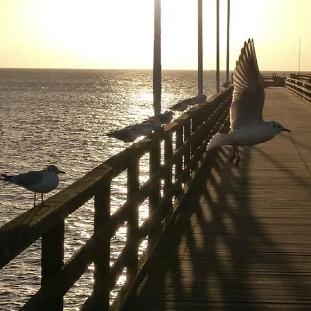 Moewennest 13 - Apartmán Großenbrode